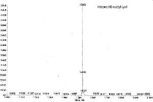 Mass Spectrometry (MS) image for Histone 3 (H3) (H3K4ac) protein (ABIN2669563) (Histone 3 Protein (H3) (H3K4ac))
