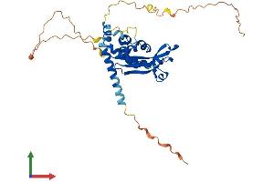 Protein Structure (PS) image for Apoptosis Enhancing Nuclease (AEN) (AA 1-336) protein (His tag) (ABIN7560788)