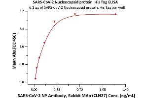 ELISA image for SARS-CoV-2 Nucleocapsid (SARS-CoV-2 N) (Active) protein (His tag) (ABIN7013245)