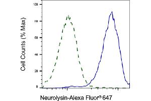 Validation of Neurolysin knockdown using flow cytometry. (NLN antibody)