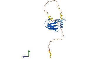 Protein Structure (PS) image for Ribosomal Protein S10 (RPS10) (AA 1-165) protein (His tag) (ABIN7556654)