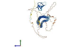 Protein Structure (PS) image for BAI1-Associated Protein 2-Like-1 (BAIAP2L1) (AA 1-514) protein (His tag) (ABIN7561282)