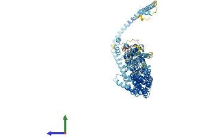 AlphaFold protein structure predicition of Mouse Recombinant Cog7 Protein, UniprotID Q3UM29 (COG7 Protein (AA 1-770) (His tag))