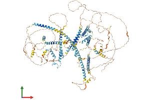AlphaFold protein structure predicition of Mouse Recombinant Cspp1 Protein, UniprotID B2RX88 (CSPP1 Protein (AA 1-1205) (His tag))