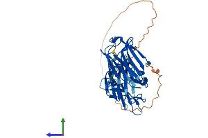 AlphaFold protein structure predicition of Mouse Recombinant Lgals9 Protein, UniprotID O08573 (Galectin 9 Protein (AA 1-353) (His tag))