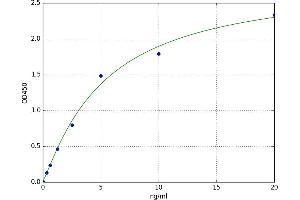 Fatty Acid Binding Protein 5 (Psoriasis-Associated) (FABP5) ELISA Kit