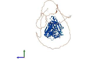AlphaFold protein structure predicition of Human Recombinant PANK1 Protein, UniprotID Q8TE04