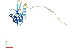 AlphaFold protein structure predicition of Human Recombinant C22orf15 Protein, UniprotID Q8WYQ4
