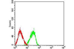 Flow cytometric analysis of HL-60 cells using TLL1 mouse mAb (green) and negative control (red). (TLL1 antibody  (AA 870-1013))