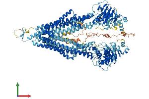 AlphaFold protein structure predicition of Mouse Recombinant Abcb11 Protein, UniprotID Q9QY30