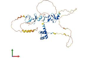 AlphaFold protein structure predicition of Mouse Recombinant Lhx9 Protein, UniprotID Q9WUH2