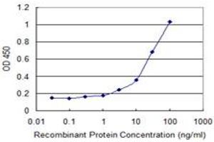 Detection limit for recombinant GST tagged CYB5R3 is 1 ng/ml as a capture antibody. (CYB5R3 antibody  (AA 157-252))