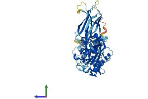 Protein Structure (PS) image for Copine IV (CPNE4) (AA 1-557) protein (His tag) (ABIN7558746)