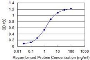 Detection limit for recombinant GST tagged SIN3A is 0. (SIN3A antibody  (AA 1-99))