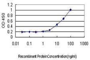 Detection limit for recombinant GST tagged HHEX is approximately 0. (HHEX antibody  (AA 1-270))