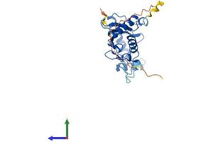 AlphaFold protein structure predicition of Human Recombinant CDC34 Protein, UniprotID P49427 (CDC34 Protein (AA 1-236) (His tag))