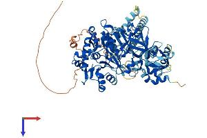 ACSBG1 Protein (AA 1-721) (His tag)