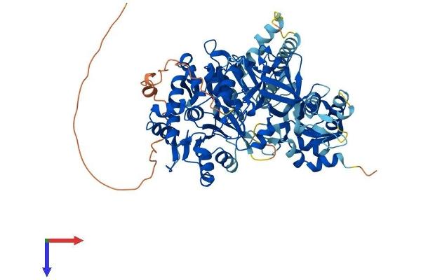 ACSBG1 Protein (AA 1-721) (His tag)