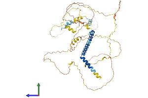 AlphaFold protein structure predicition of Mouse Recombinant Tagap1 Protein, UniprotID P0CAX8 (Tagap1 Protein (AA 1-505) (His tag))
