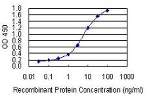 Detection limit for recombinant GST tagged CTNND2 is 0. (CTNND2 antibody  (AA 1081-1190))