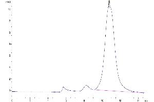 Size-exclusion chromatography-High Pressure Liquid Chromatography (SEC-HPLC) image for Killer Cell Lectin-Like Receptor Subfamily B, Member 1 (KLRB1) (AA 67-225) protein (His tag) (ABIN7274068)