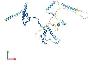 AlphaFold protein structure predicition of Mouse Recombinant Rrs1 Protein, UniprotID Q9CYH6