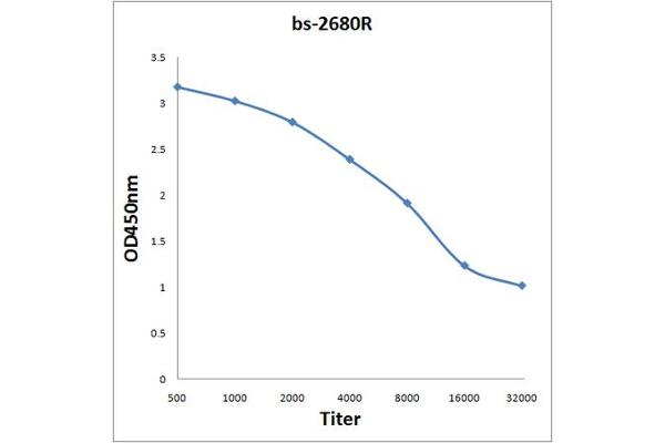 NFAM1 antibody  (AA 81-180)