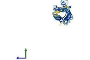 AlphaFold protein structure predicition of Human Recombinant CLRN3 Protein, UniprotID Q8NCR9