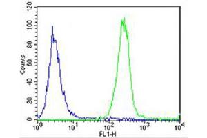 Overlay histogram showing SH-SY5Y cells stained with (ABIN6242763 and ABIN6577904) (green line). (SNCA antibody  (C-Term))
