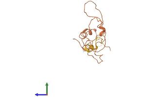 AlphaFold protein structure predicition of Human Recombinant KRTAP9-9 Protein, UniprotID Q9BYP9 (Keratin Associated Protein 9-9 (KRTAP9-9) (AA 1-154) protein (His tag))