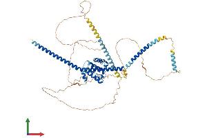 Protein Structure (PS) image for TNF Receptor-Associated Factor 3 Interacting Protein 1 (TRAF3IP1) (AA 1-625) protein (His tag) (ABIN7563632)