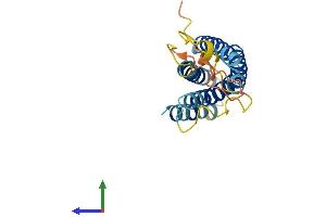 AlphaFold protein structure predicition of Human Recombinant NKAIN3 Protein, UniprotID Q8N8D7 (Na+/K+ Transporting ATPase Interacting 3 (NKAIN3) (AA 1-197) protein (His tag))