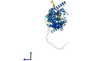 AlphaFold protein structure predicition of Human Recombinant ABCG5 Protein, UniprotID Q9H222 (ABCG5 Protein (AA 1-651) (His tag))