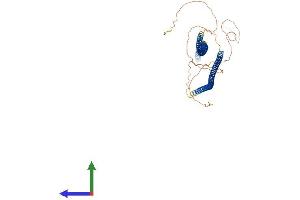 AlphaFold protein structure predicition of Human Recombinant KRT78 Protein, UniprotID Q8N1N4 (Keratin 78 Protein (KRT78) (AA 1-520) (His tag))