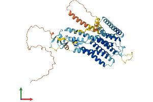 AlphaFold protein structure predicition of Human Recombinant TMEM39A Protein, UniprotID Q9NV64 (TMEM39A Protein (AA 1-488) (His tag))