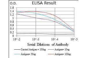 Black line: Control Antigen (100 ng), Purple line: Antigen(10 ng), Blue line: Antigen (50 ng), Red line: Antigen (100 ng), (FLT3 antibody  (AA 930-991))