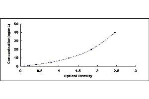 Estrogen Receptor alpha ELISA Kit