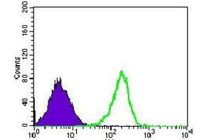 Flow cytometric analysis of HEK293 cells using MRPL42 mouse mAb (green) and negative control (purple).