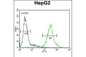 Flow cytometric analysis of HepG2 cells (right histogram) compared to a negative control cell (left histogram). (IL1RN antibody  (C-Term))