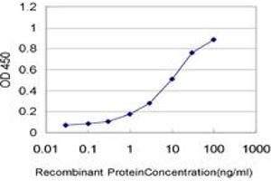 Detection limit for recombinant GST tagged GATAD2B is approximately 0. (GATAD2B antibody  (AA 3-110))