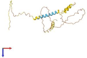 AlphaFold protein structure predicition of Human Recombinant DNM1P46 Protein, UniprotID Q6ZS02 (DNM1P46 Protein (AA 1-220) (His tag))