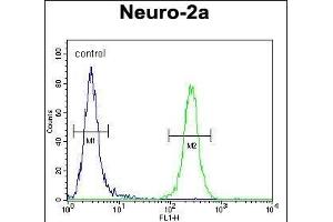 CCD Antibody (C-term) (ABIN654259 and ABIN2844079) flow cytometric analysis of Neuro-2a cells (right histogram) compared to a negative control cell (left histogram). (CEP89 antibody  (C-Term))