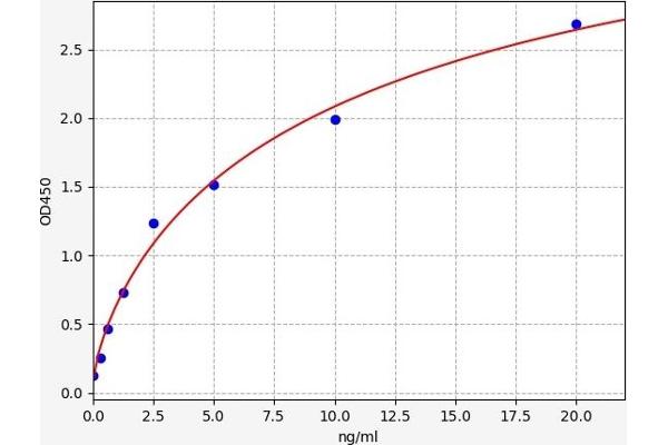 CD36 ELISA Kit