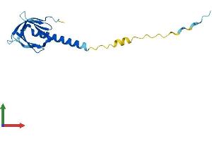 Protein Structure (PS) image for Pleckstrin Homology-Like Domain, Family A, Member 2 (PHLDA2) (AA 1-152) protein (His tag) (ABIN7550794)