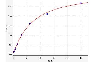 SRD5A1 ELISA Kit