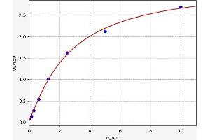 Typical standard curve (SRD5A1 ELISA Kit)