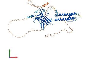AlphaFold protein structure predicition of Mouse Recombinant Kcnj3 Protein, UniprotID P63250