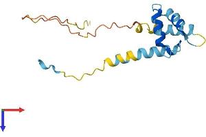 AlphaFold protein structure predicition of Human Recombinant EFCAB8 Protein, UniprotID A8MWE9