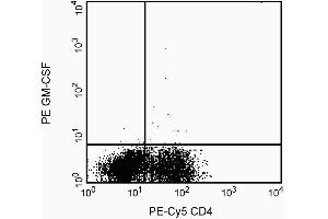 Preincubation of the antibody conjugate with recombinant human GM-CSF (GM-CSF antibody)