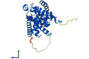 AlphaFold protein structure predicition of Mouse Recombinant Ccnd3 Protein, UniprotID P30282